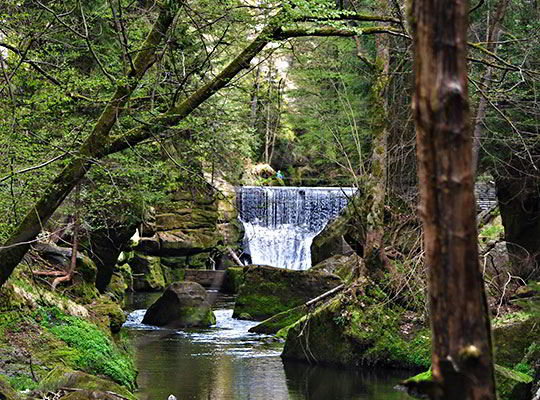 Wild Gorge